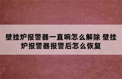 壁挂炉报警器一直响怎么解除 壁挂炉报警器报警后怎么恢复